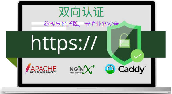 双向SSL认证,终极身份验证盾牌,守护核心业务安全